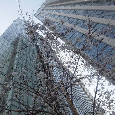 東京駅