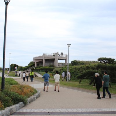 県立城ケ島公園