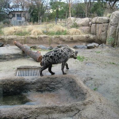 天王寺動物園