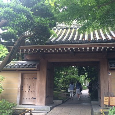 報国寺(竹寺)