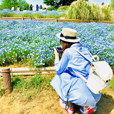 国営昭和記念公園