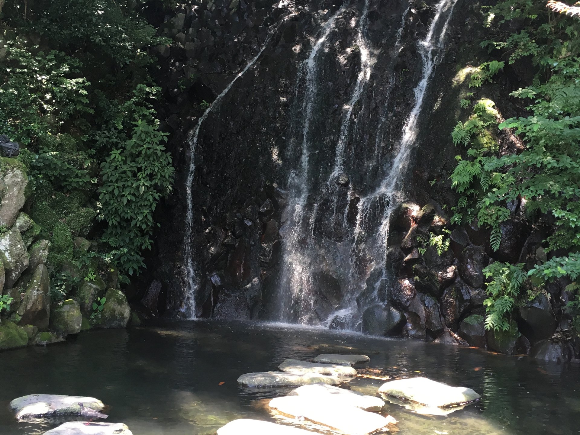 【日帰り温泉】暑いからこそ行きたい！滝が涼しい箱根の隠れ家☆