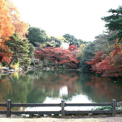 新宿御苑