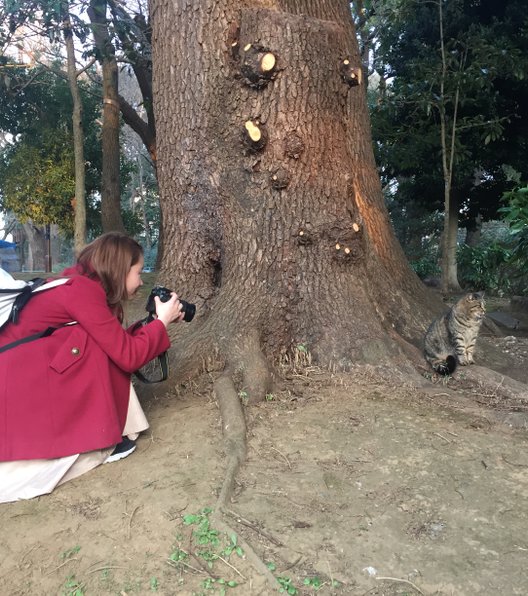 上野公園