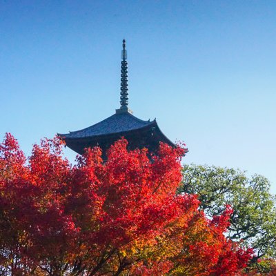 東寺(教王護国寺)