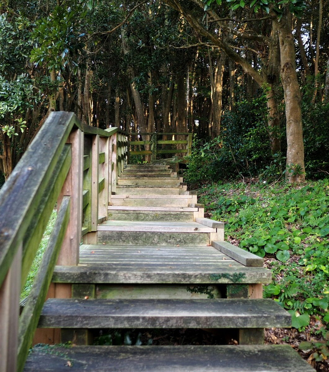 佐賀県立名護屋城博物館