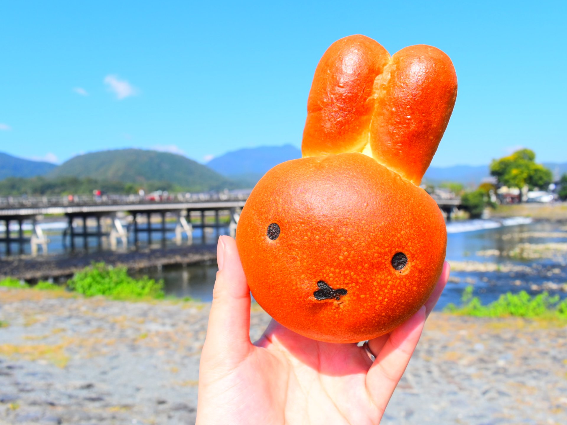 GoToTravelでお得に京都嵐山へ！クーポンを利用して人気のランチやカフェお土産をゲット！