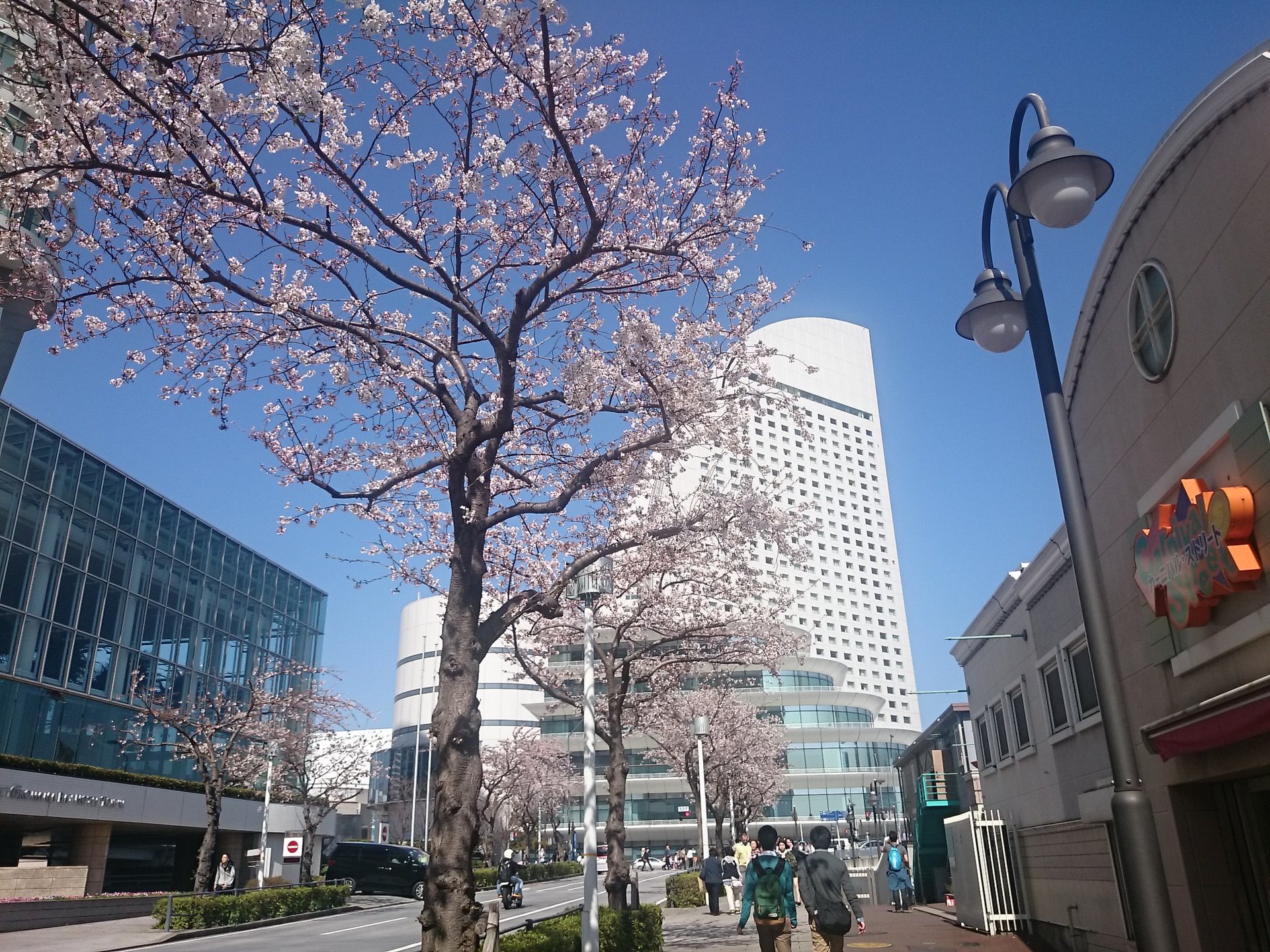 【保存版】横浜みなとみらいのお花見春デートコース★写真スポットまとめ！