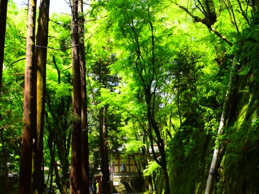 本山寺