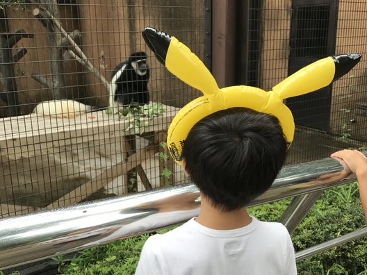 野毛山動物園