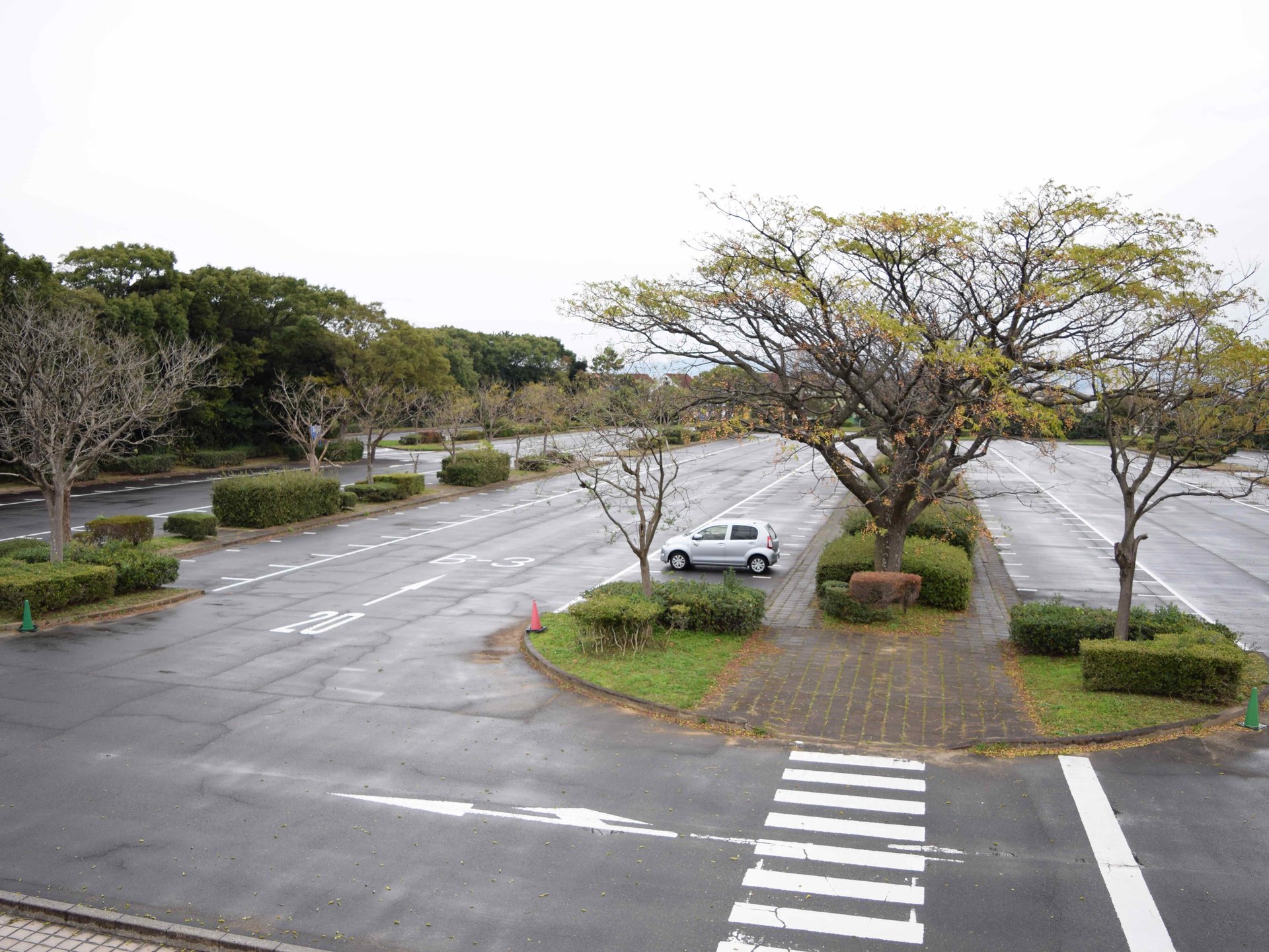 【福岡】広大な敷地を貸し切り！？海の中道海浜公園が穴場モヤモヤスポットすぎる。