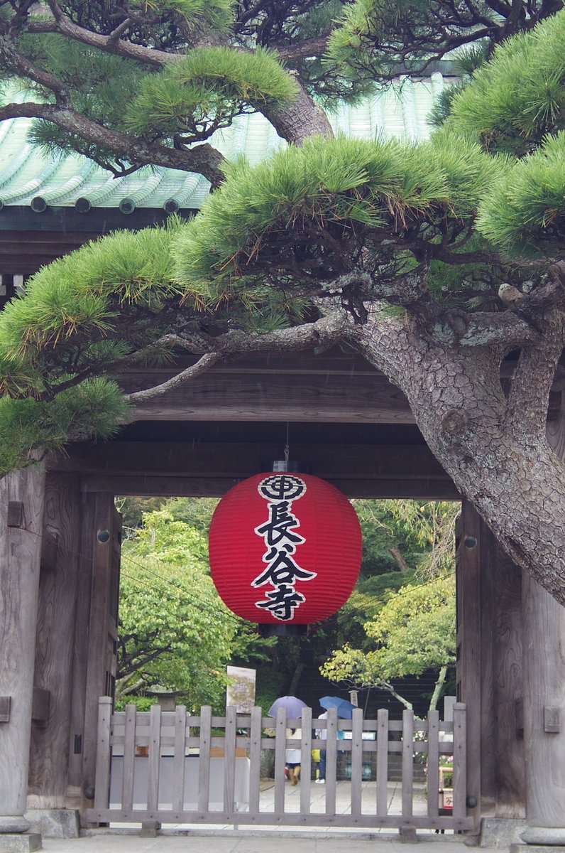 長谷寺(長谷観音)