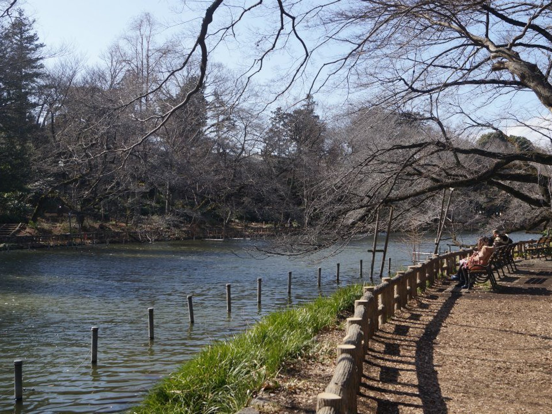 井の頭恩賜公園