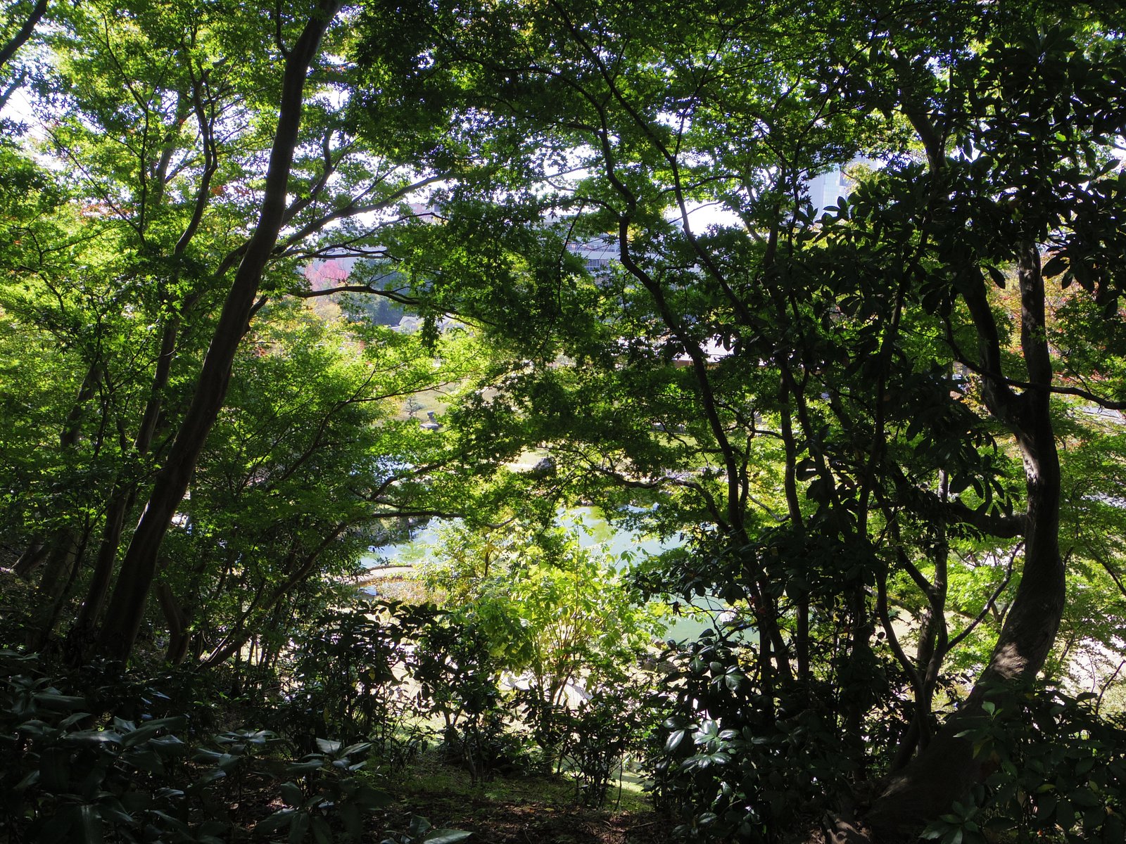 金沢城公園