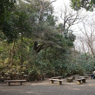 国立科学博物館附属自然教育園