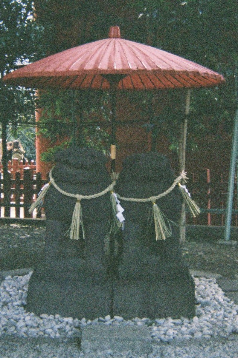 浅草神社(三社さま)
