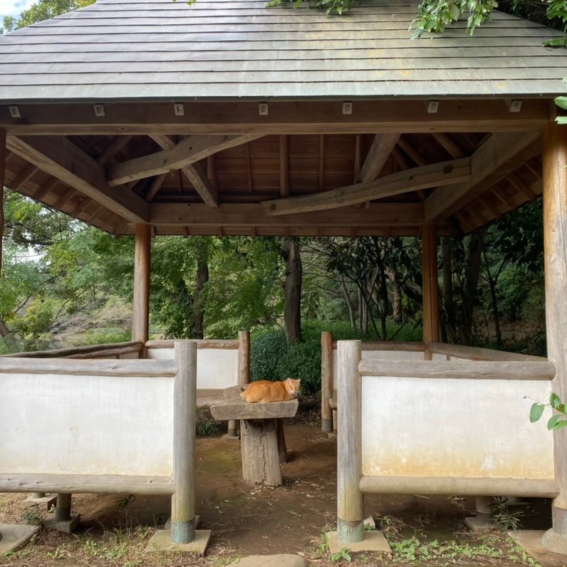 じゅん菜池緑地公園