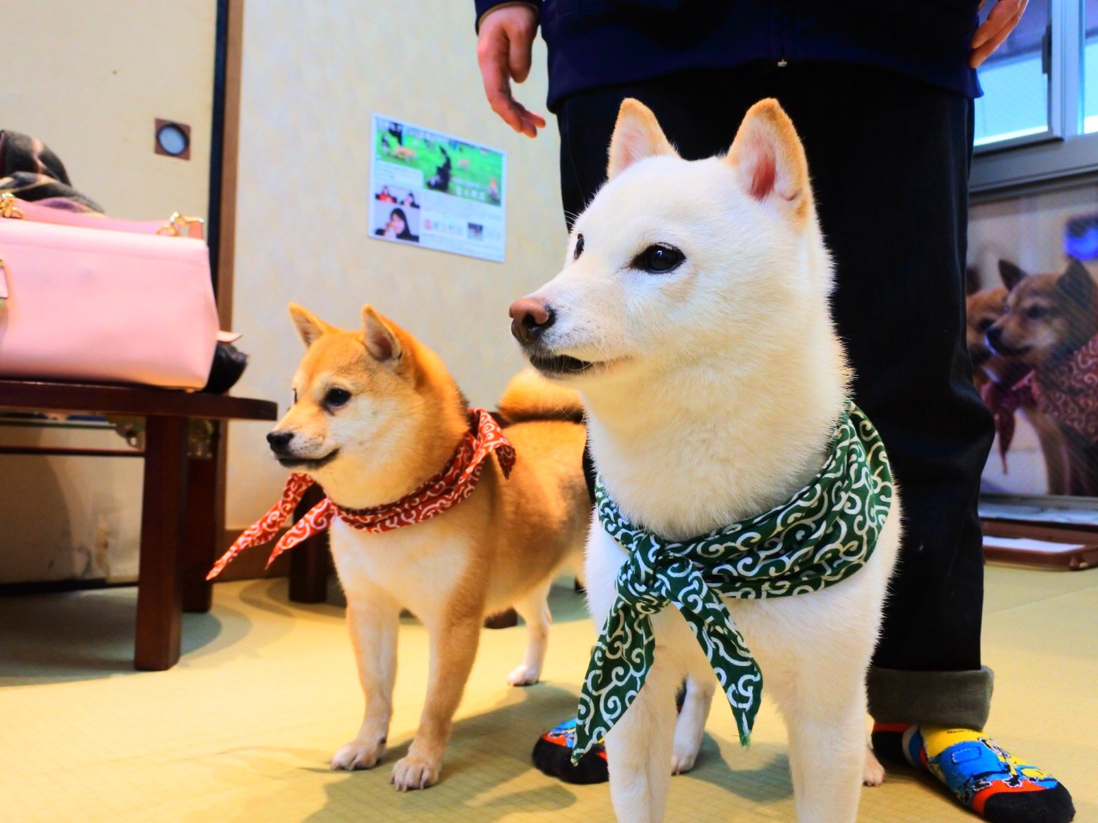 京都 河原町でアクティブデート 脱マンネリ化 人気のお店を詰め込んだ 全てが新鮮なデートプラン Playlife プレイライフ