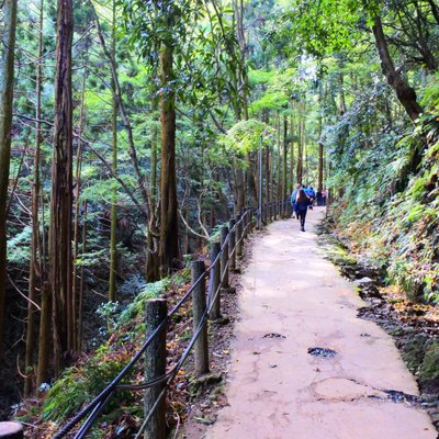 嵐山モンキーパークいわたやま