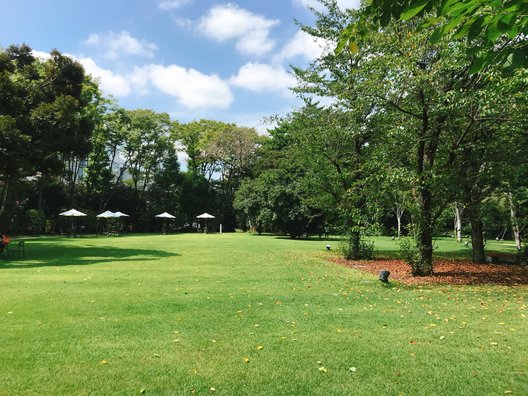 東京都庭園美術館