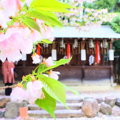 平野神社