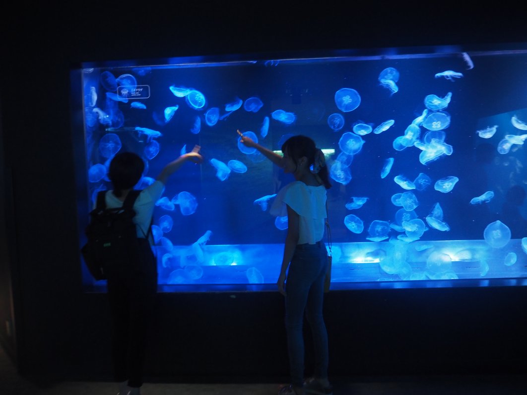 すみだ水族館