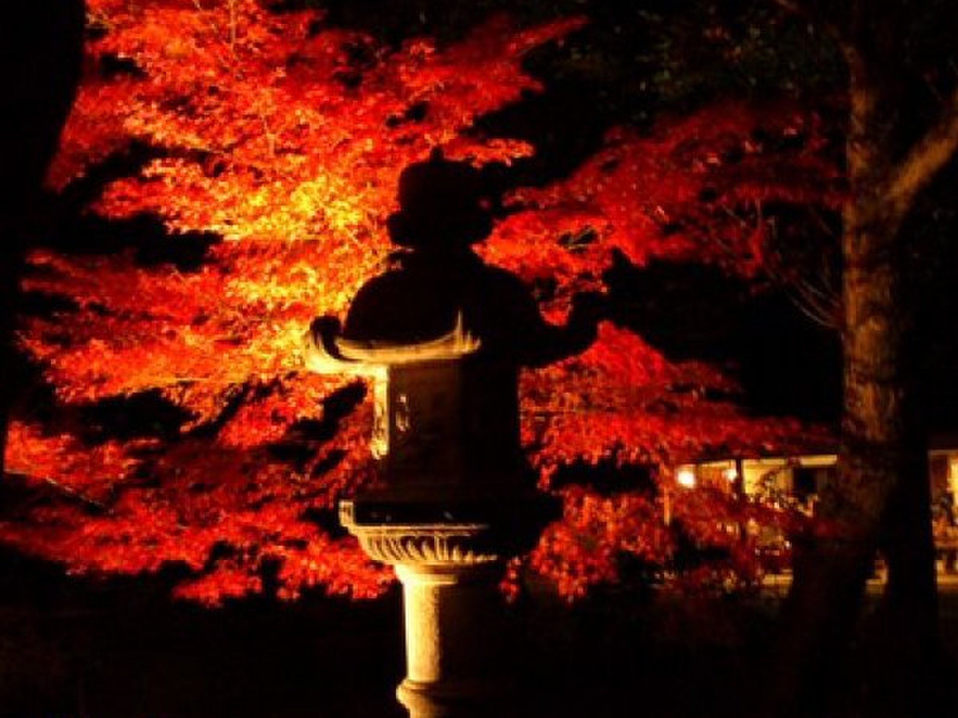 【関東で絶景の定番秋の紅葉・もみじ狩りスポット３選】紅葉を楽しむ散歩デートにおすすめ！