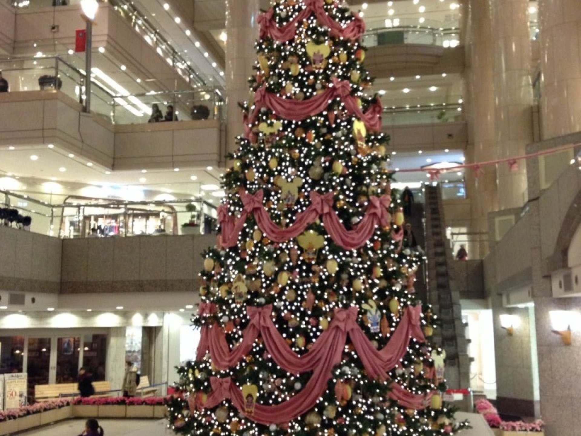 クリスマスデートにおすすめスポット!!横浜みなとみらいのクリスマスツリースポット！