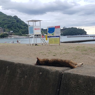 土肥海水浴場 (屋形海岸)