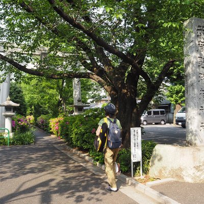 武蔵野稲荷神社