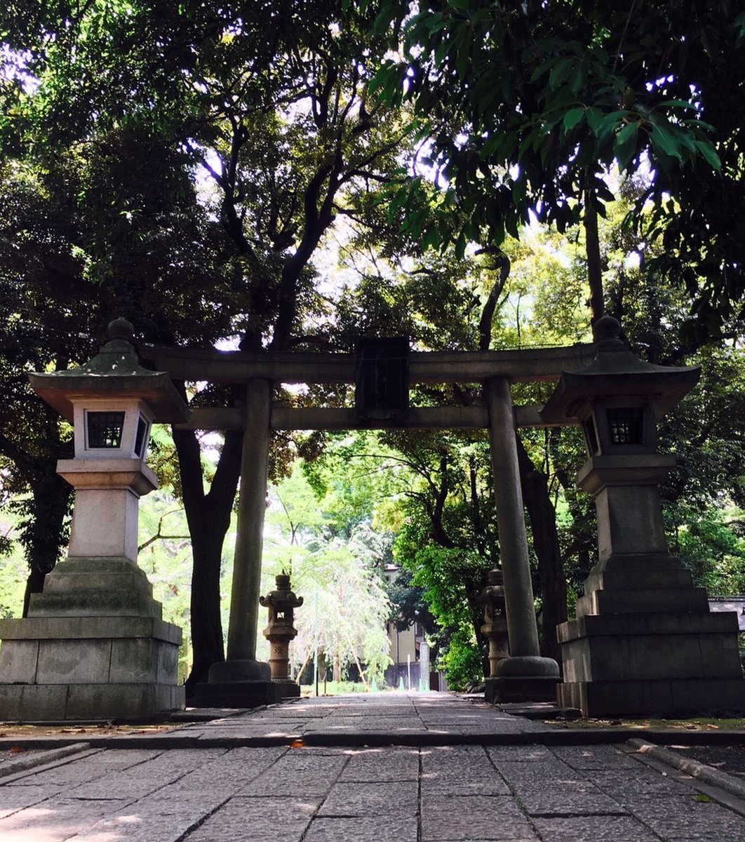 赤坂氷川神社のイチョウ