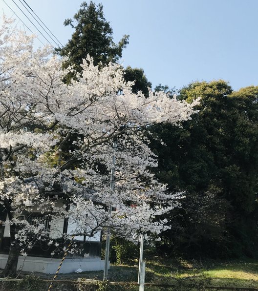 根来寺