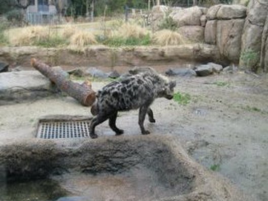 天王寺動物園