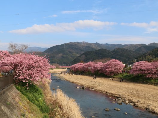 河津町観光協会