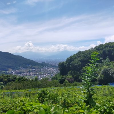 山梨県立科学館