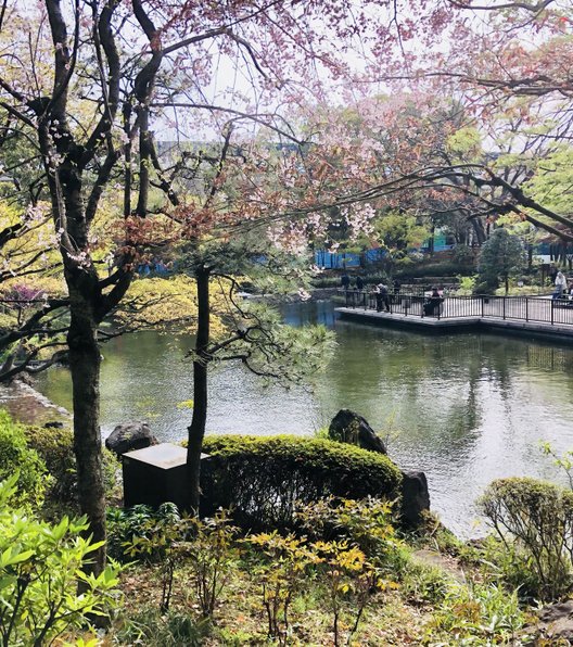 横浜公園