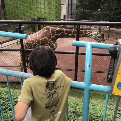 野毛山動物園