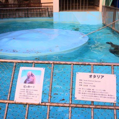 姫路市立動物園