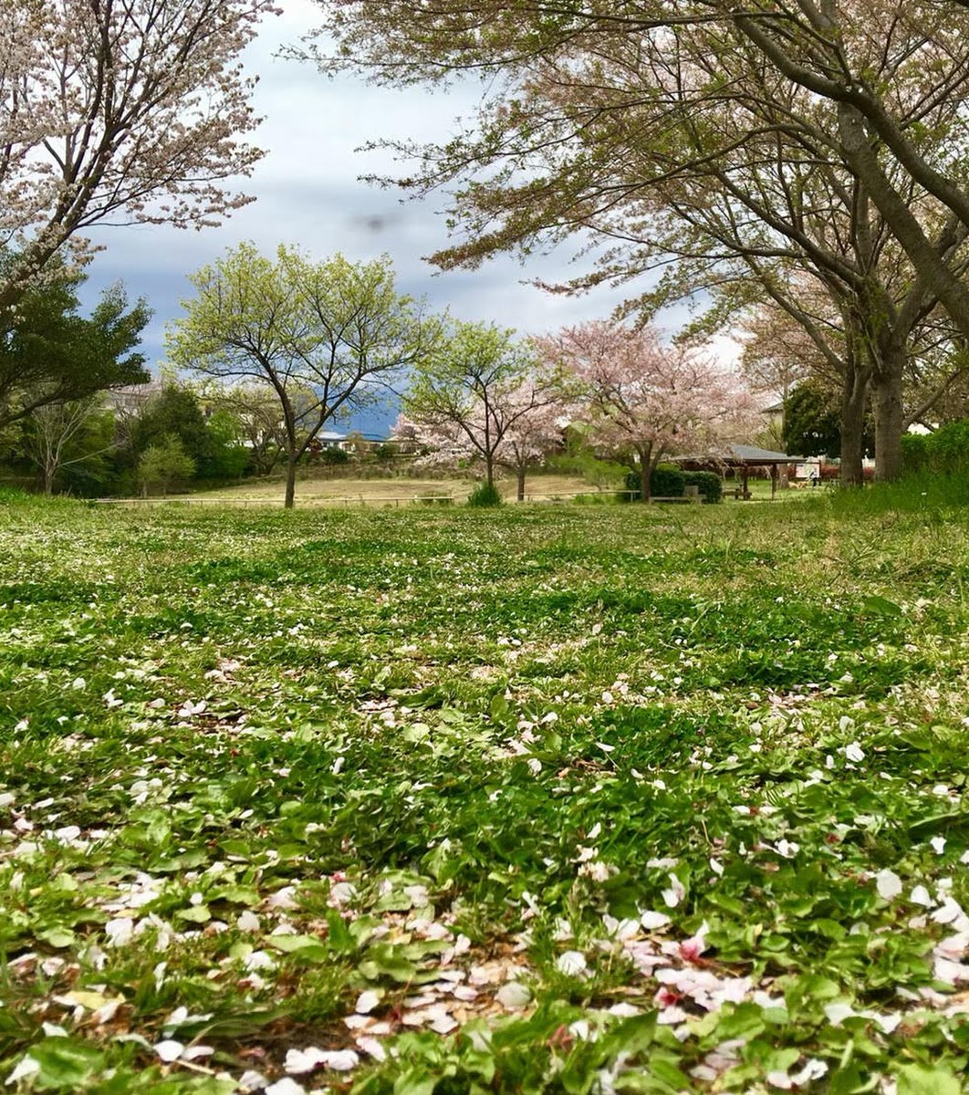 ラディアン花の丘公園