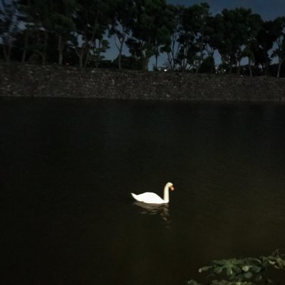 和田倉噴水公園