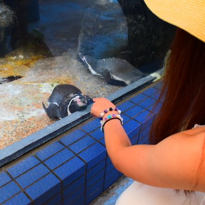 鳥羽水族館