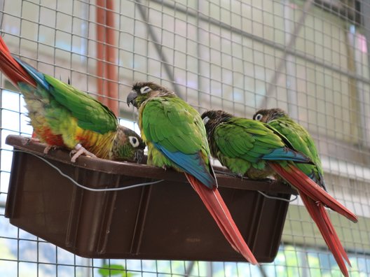 掛川花鳥園