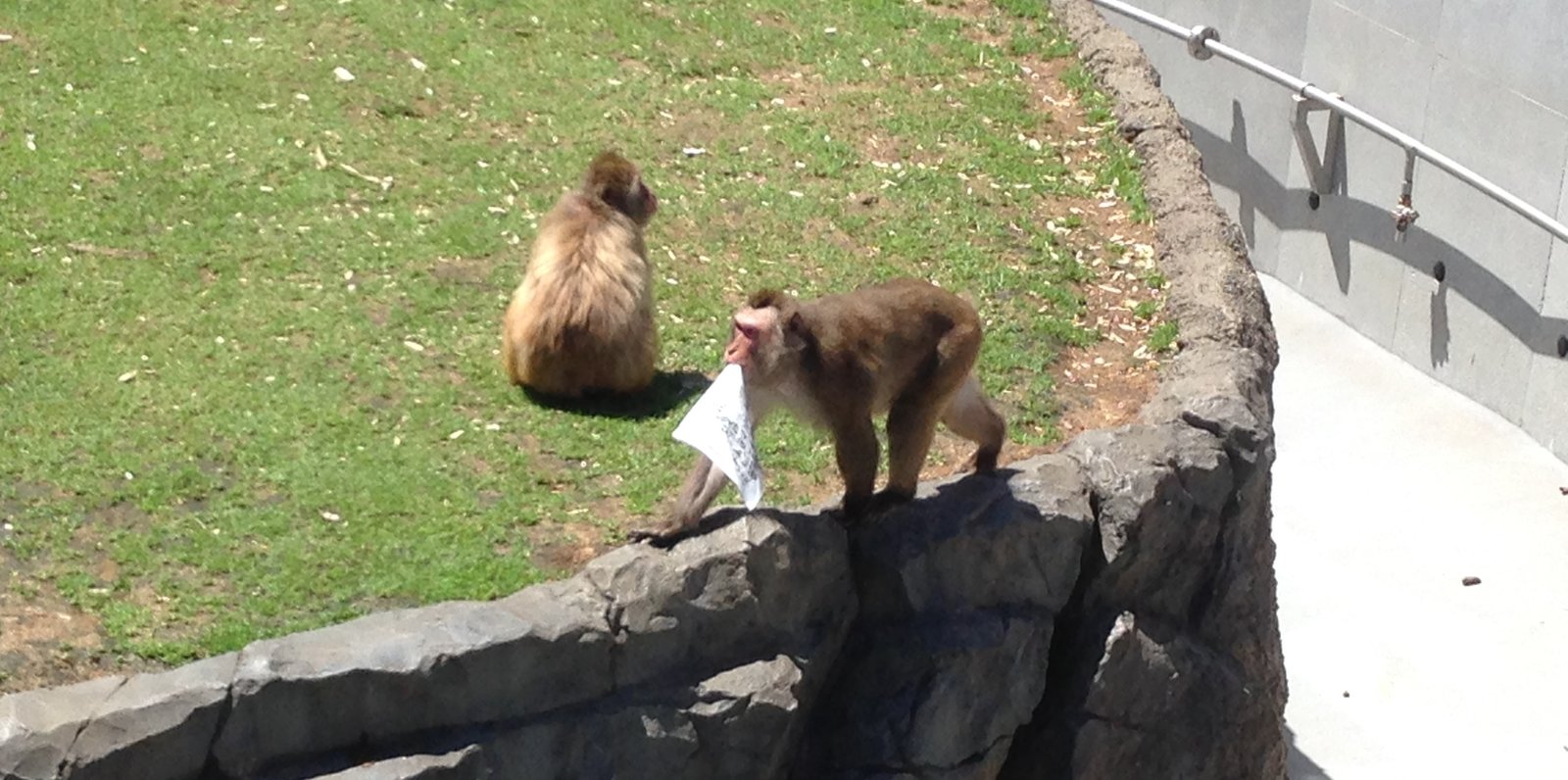 円山動物園