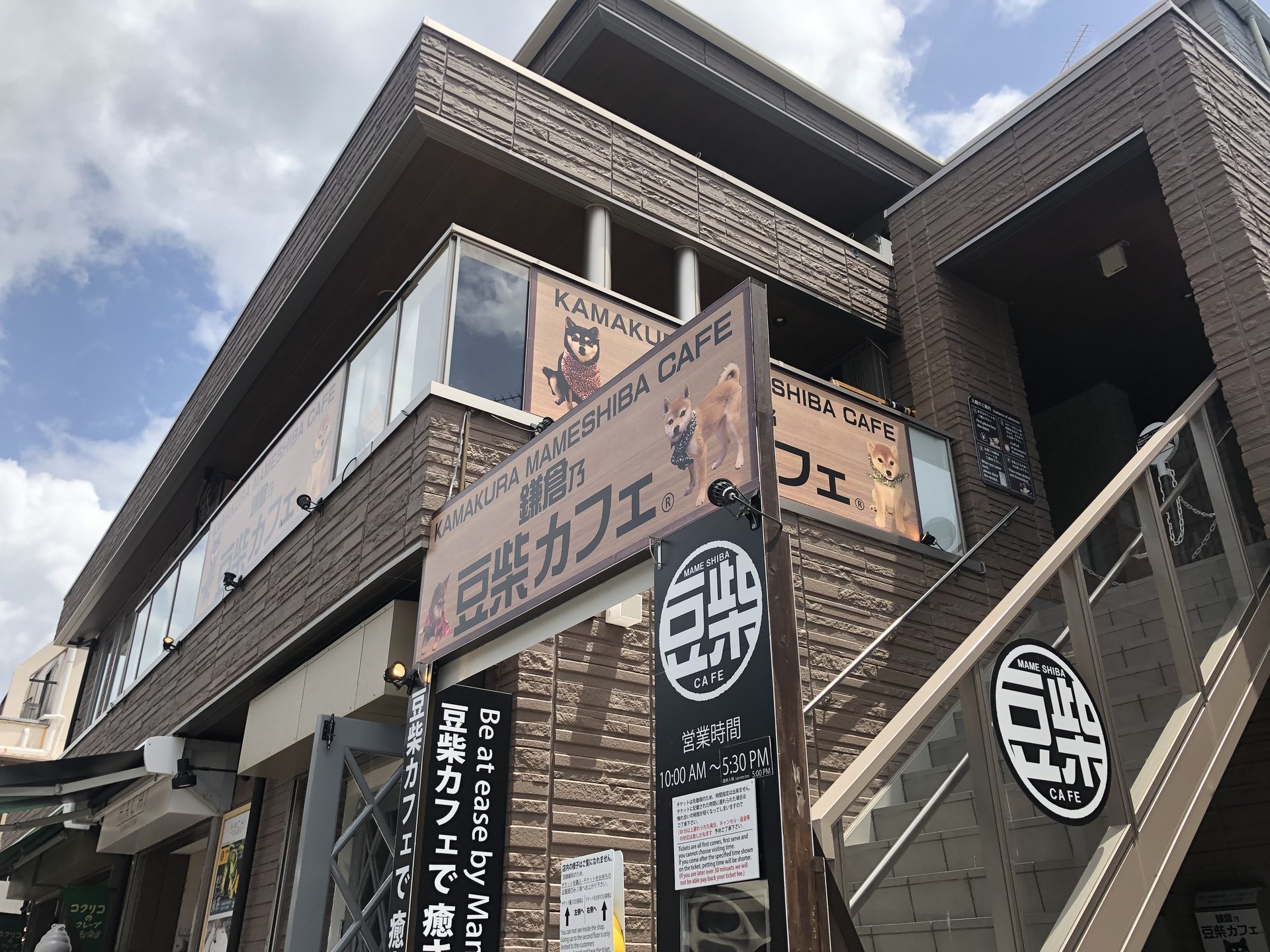 鎌倉乃豆柴カフェ