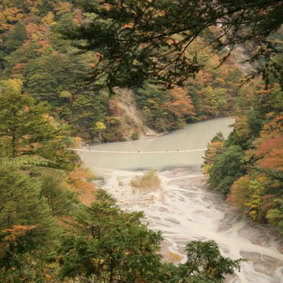 夢の吊り橋