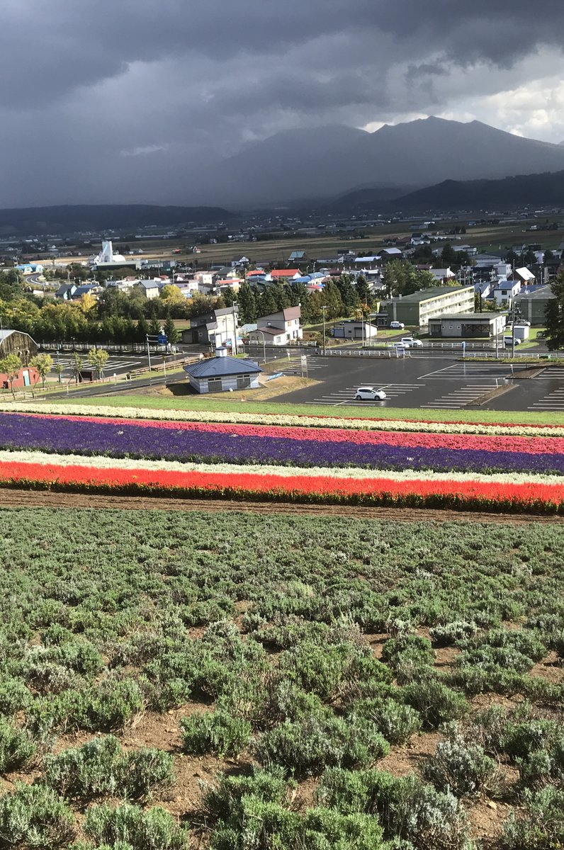 中富良野ラベンダーファーム