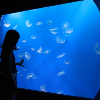 すみだ水族館