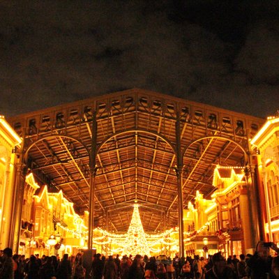 東京ディズニーランド(c)