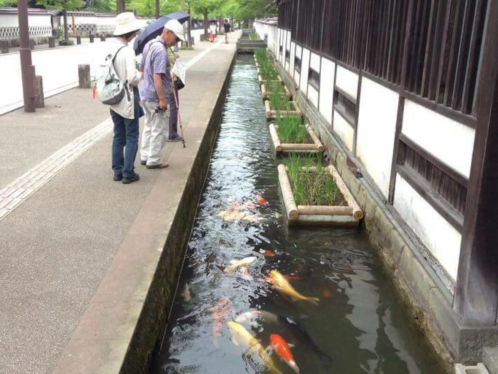 藩校養老館跡