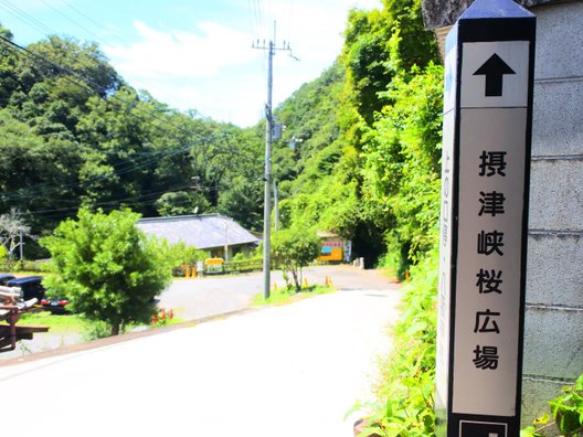 妙力寺(宗教法人)